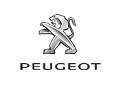 peugeot car keys