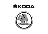 skoda car keys